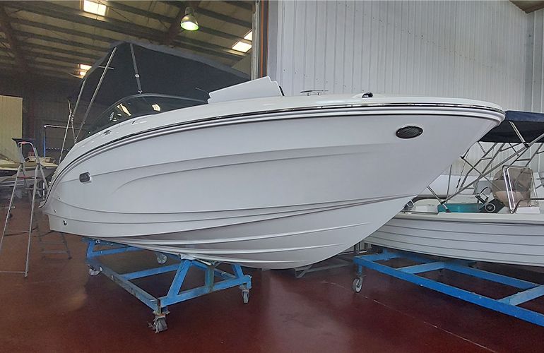 Sea Ray 210 SPX Outboard-2