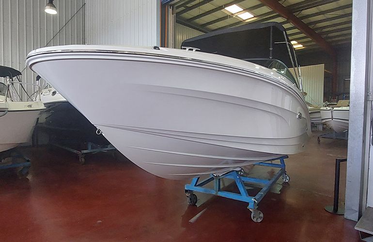 Sea Ray 210 SPX Outboard-3