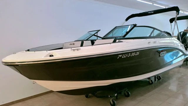 Sea Ray SPX 190 OB