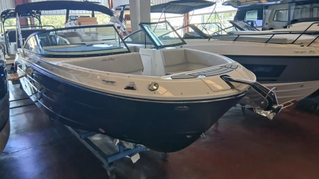 Sea Ray SDX 250