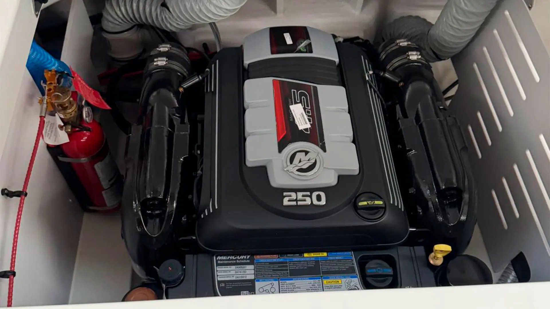 Barco nuevo entrega inmediata Sea Ray SPX 210 AP - Motor