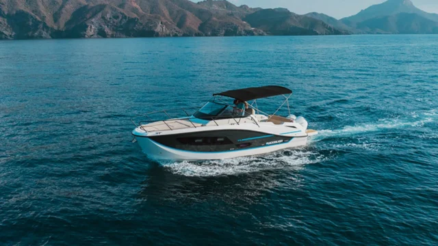 Quicksilver Activ 875 Sundeck