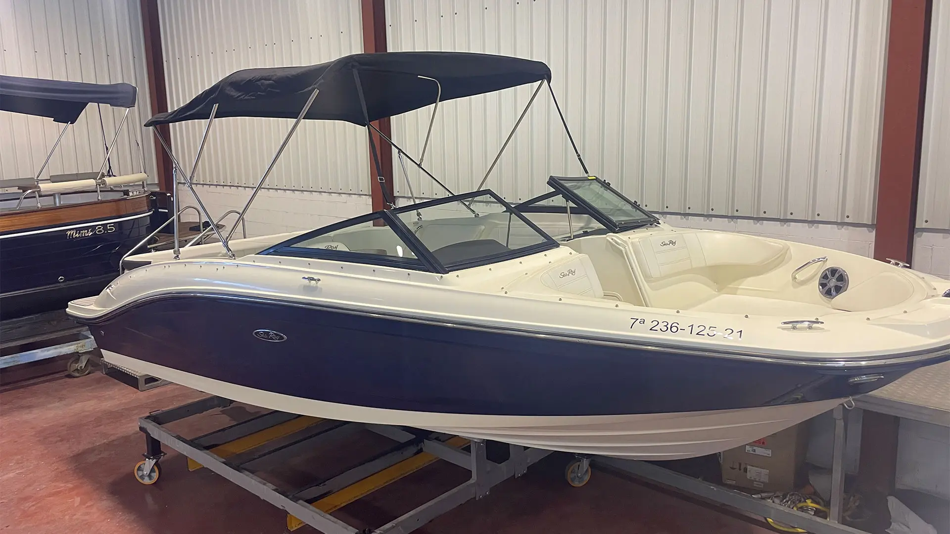 Barco de ocasión Sea Ray SPX 210 - En stock