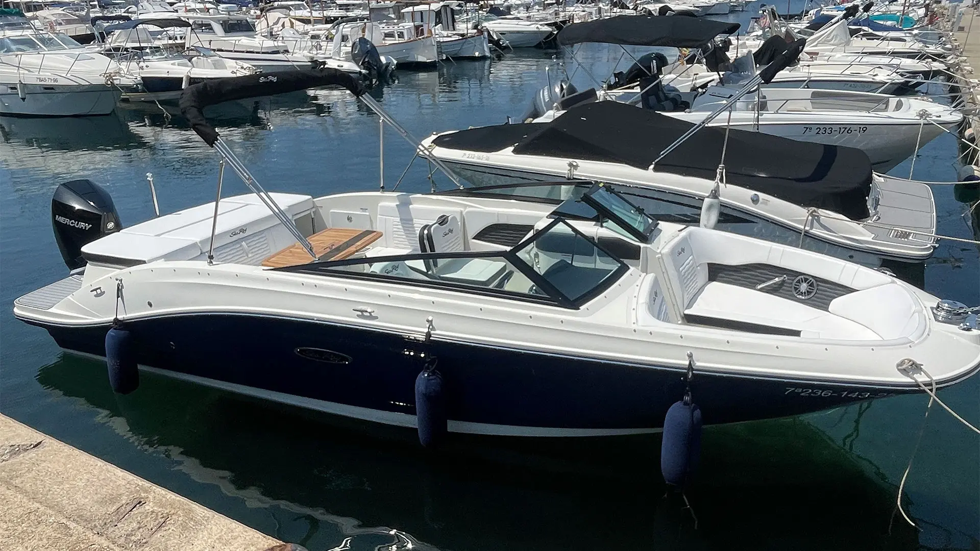 Barco demo Sea Ray SDX 230 OB - En amarre