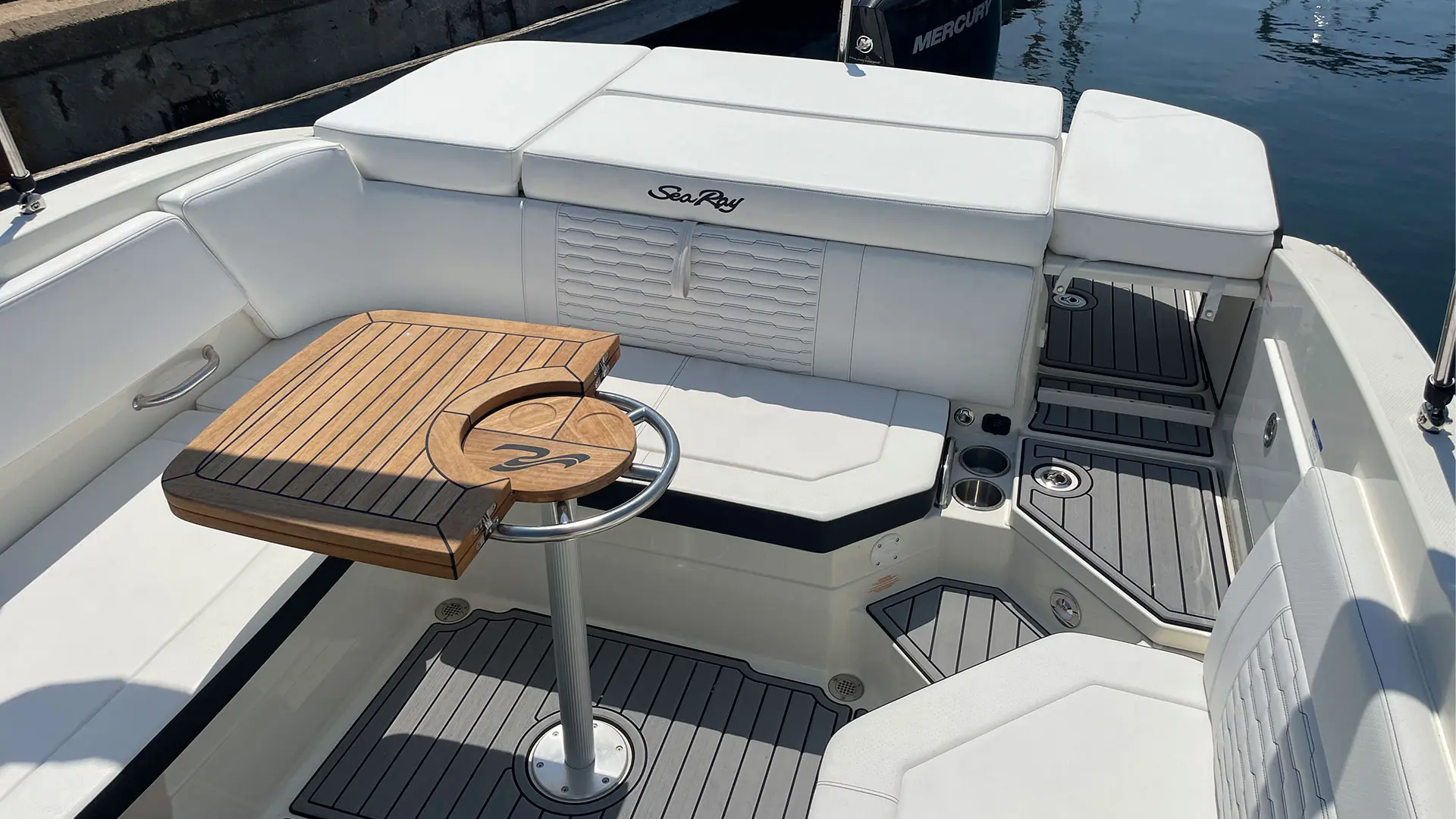 Barco demo Sea Ray SDX 230 OB - Zona picnic