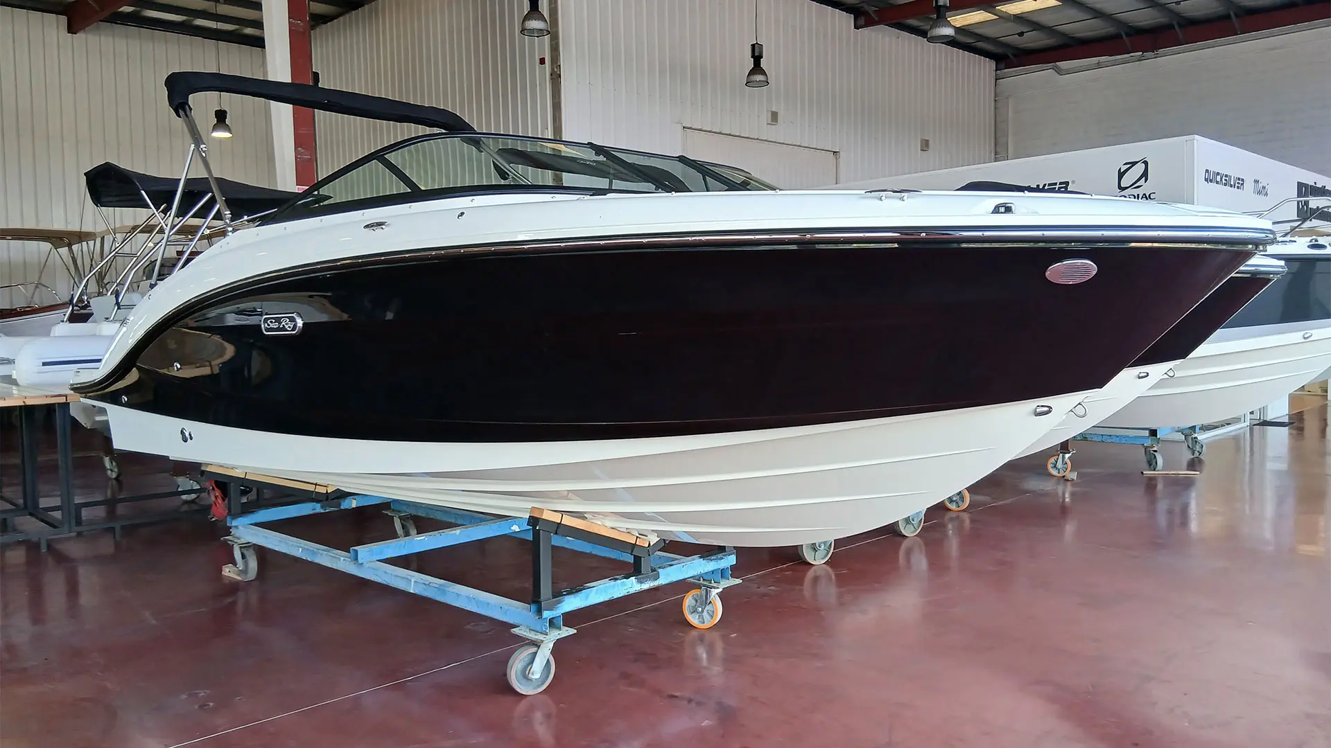 Barco nuevo entrega inmediata Sea Ray SPX 210 OB - En Stock