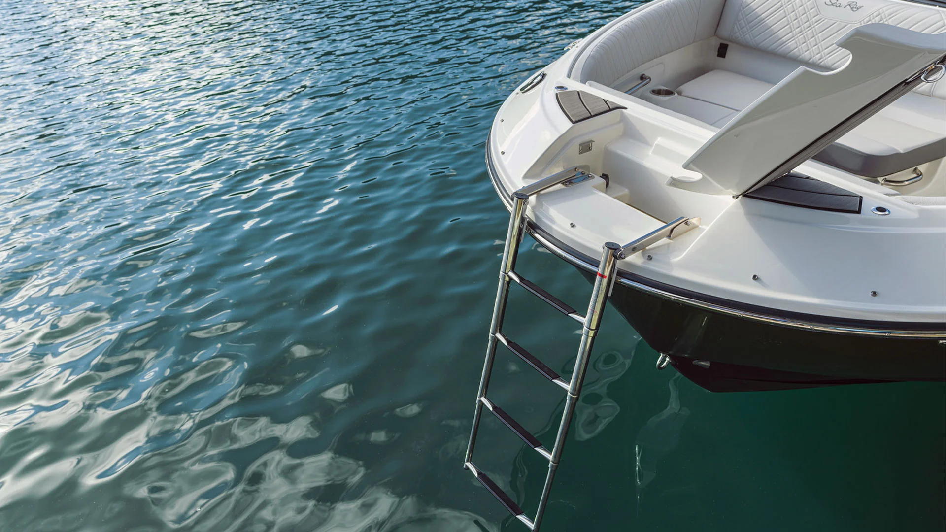 barco-nuevo-sea-ray-sdx-250-ob-escalera-de-baño