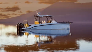 Navan T 30 - Imagen principal