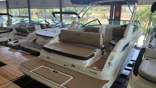 Entrega inmediata Sea Ray SDX 250 - Vista general