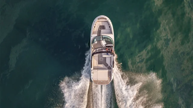 Próximamente en stock Sea Ray SDX 250 - Vista aérea
