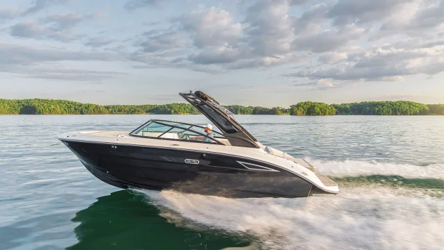 Próximamente en stock Sea Ray SDX 250 - Vista lateral