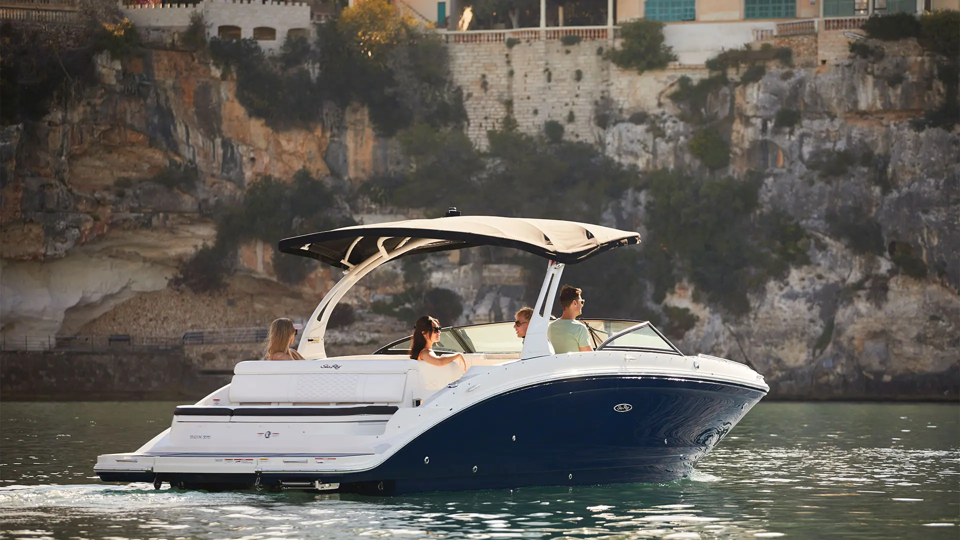 Próximamente en stock Sea Ray SDX 270 - Vista popa