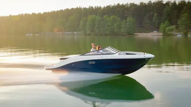 Sea Ray SPX 190 - Vista lateral