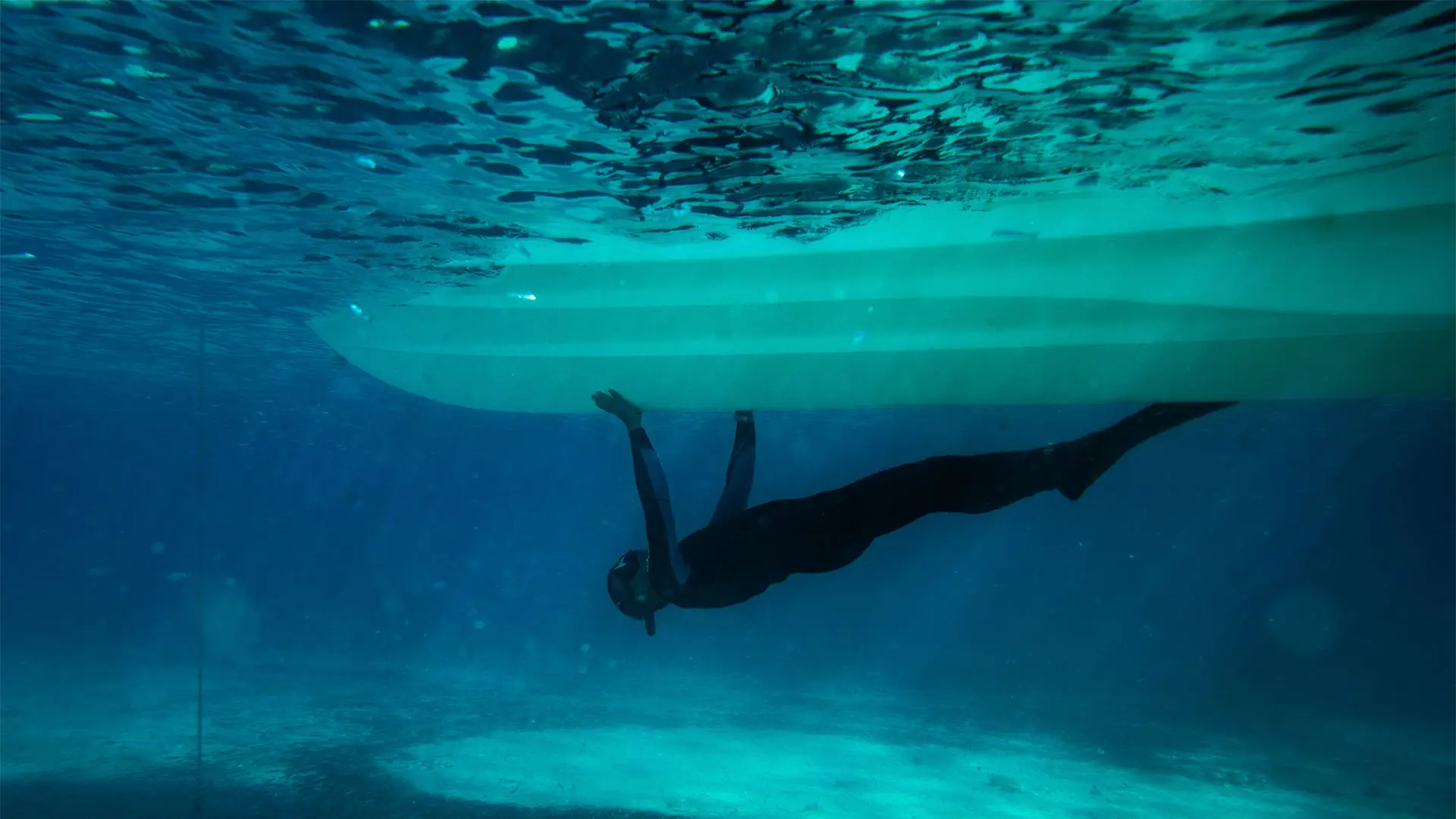 Zodiac Medline 5.8 - Debajo del agua